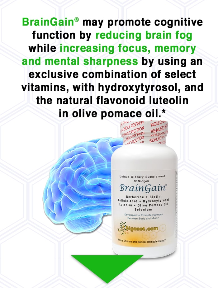 algonot-brain-gain-hero-mobile