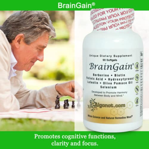 BrainGain Algonot