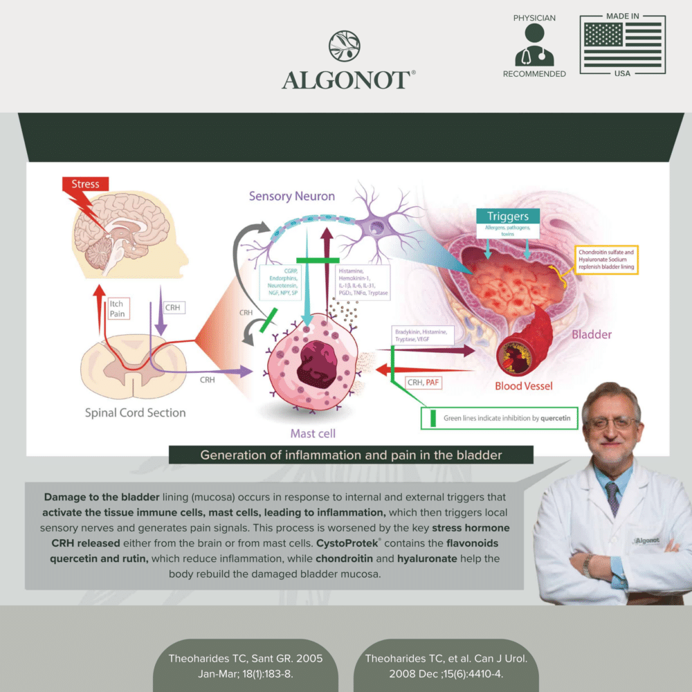 Comparison Chart (2) Comparison Chart (2)