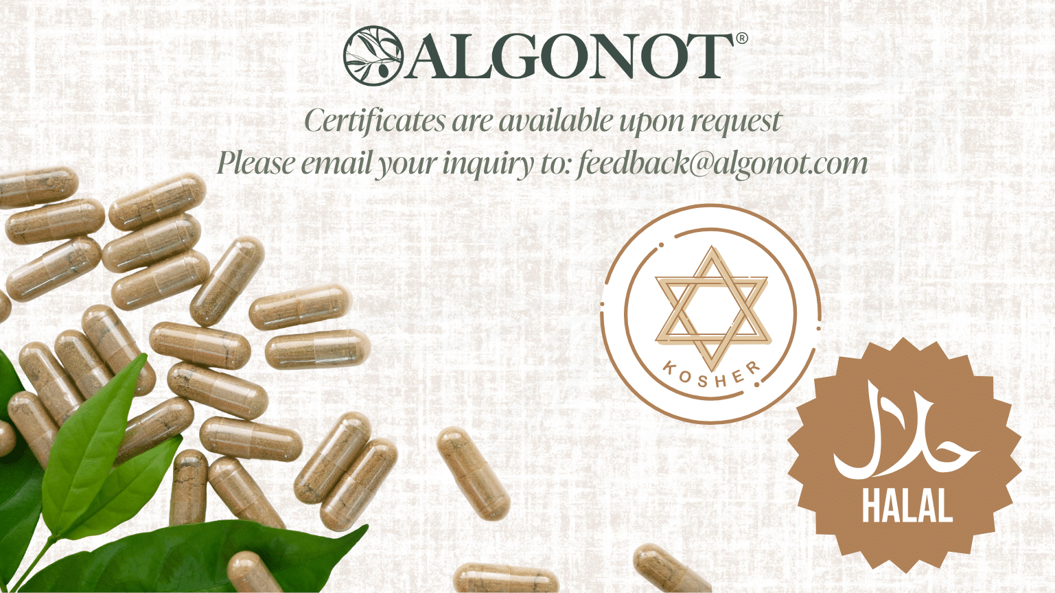 Halah - Kosher Website Banner