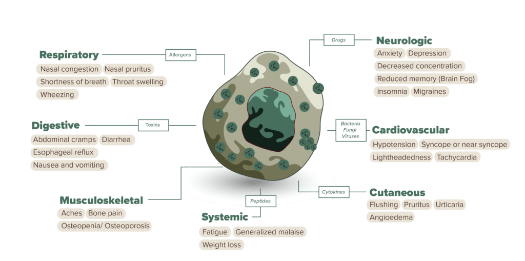 Mast-Cell-and-Effects-Green-01-1024x509