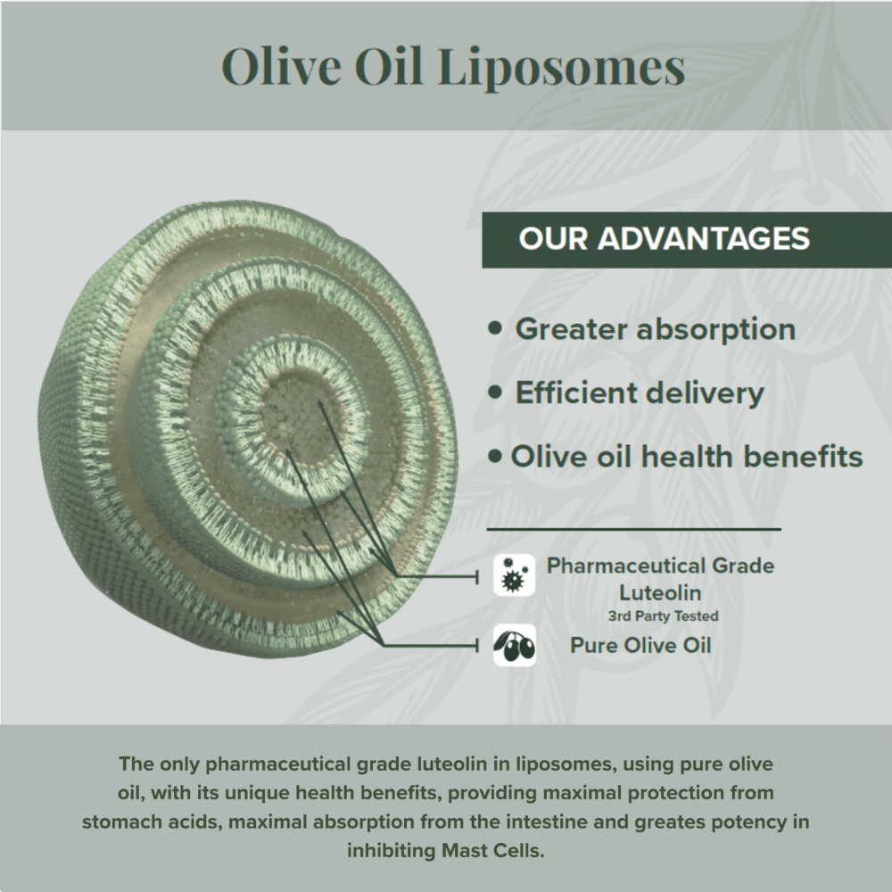 New PureLut Website Graphics (1) New PureLut Website Graphics (1)