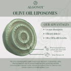 Olive Oil Liposomes