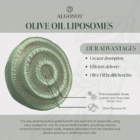 Olive Oil Liposomes