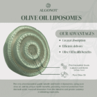 Olive Oil Liposomes