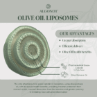 Olive Oil Liposomes