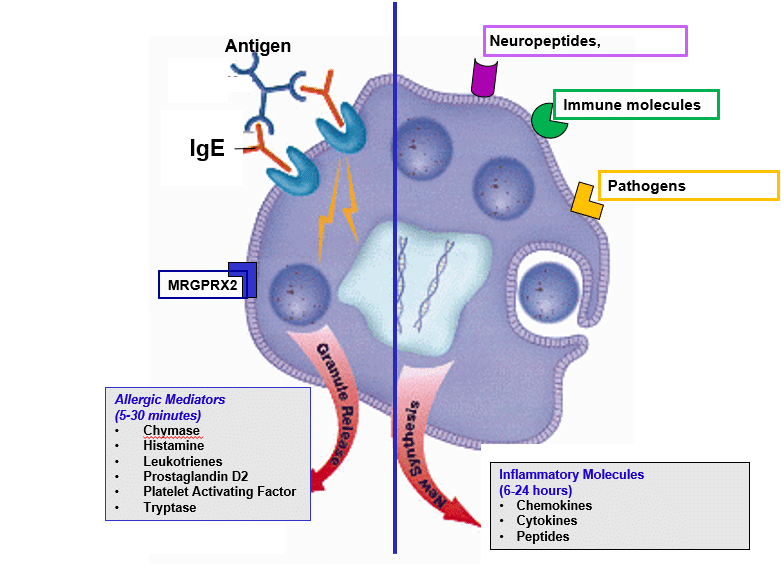 Science-Post-1