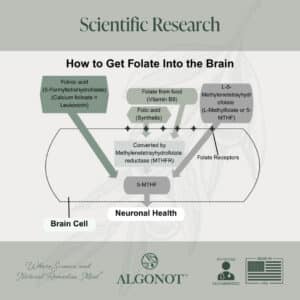 Vital-Folinic-Scientific-Research